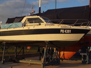 Samoa0273-001