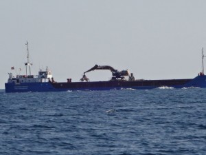 Samoa0290-007